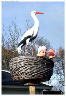 Ooievaarsnest 2 Baby's