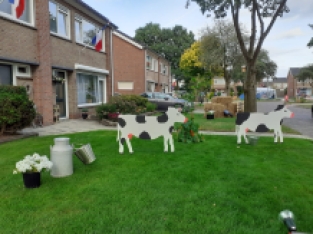 Boerderijdieren