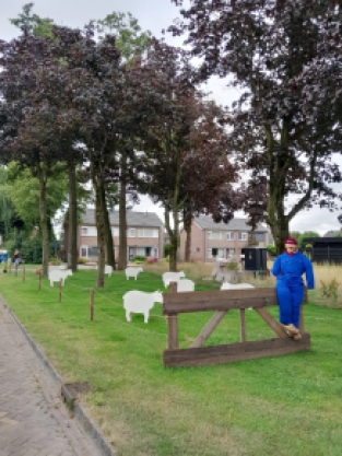 Boerderijdieren