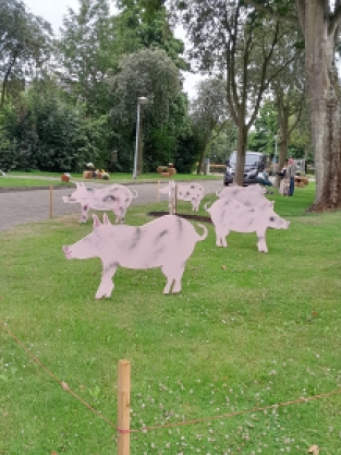 Boerderijdieren